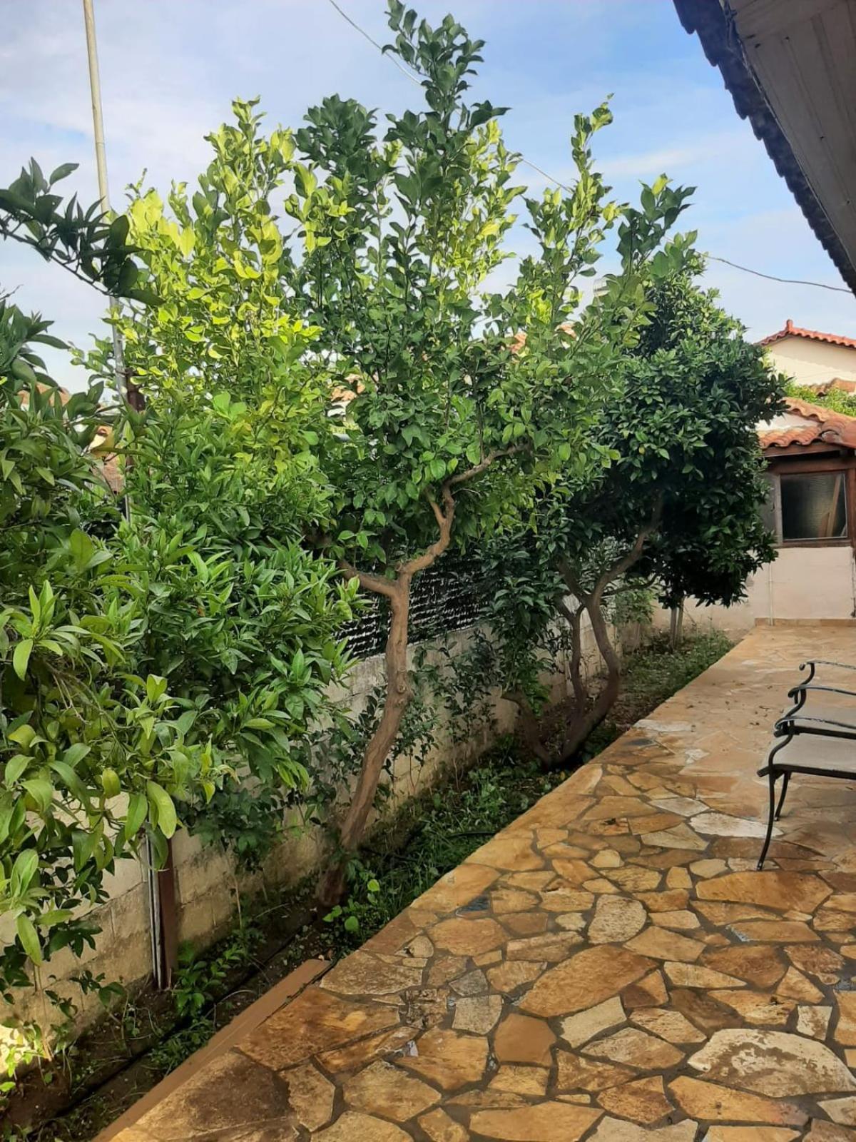 Tota'S Family House, 4 Min Walk To The Beach Levendokhórion Exterior foto